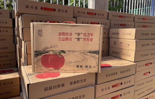 杏彩体育“扶贫助农，振兴乡村”活动